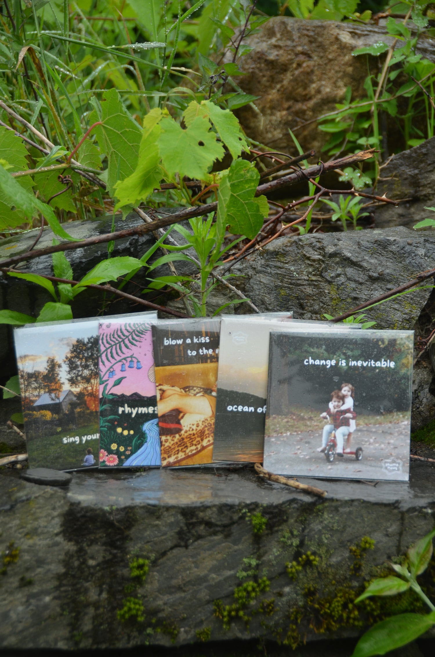 an image of all 5 mama nous albums arranged on an old stone wall surrounded by grape vines.